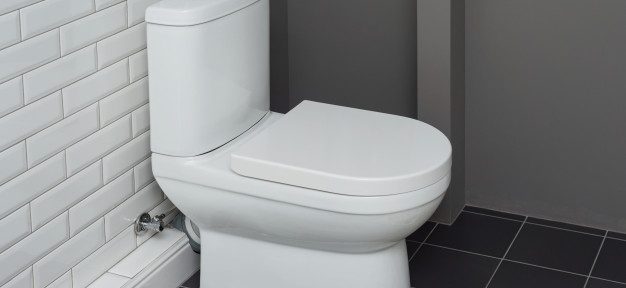 Quel est le prix d’un sanibroyeur ?