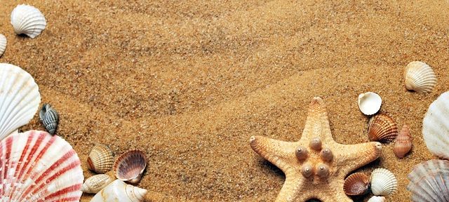 Les tendances incontournables des sacs de plage pour 2023